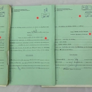 Os processos foram higienizados e desmetalizados para melhor conservação da documentação